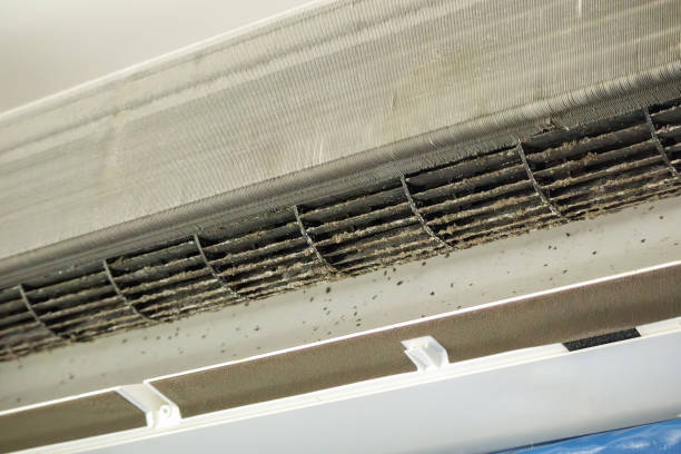 Best HVAC System Cleaning  in Belcourt, ND